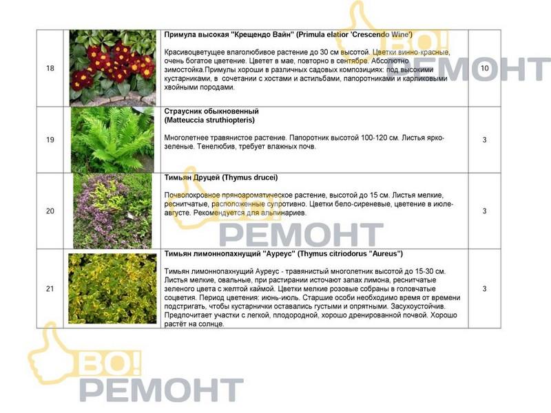Проект благоустройства территории-102
